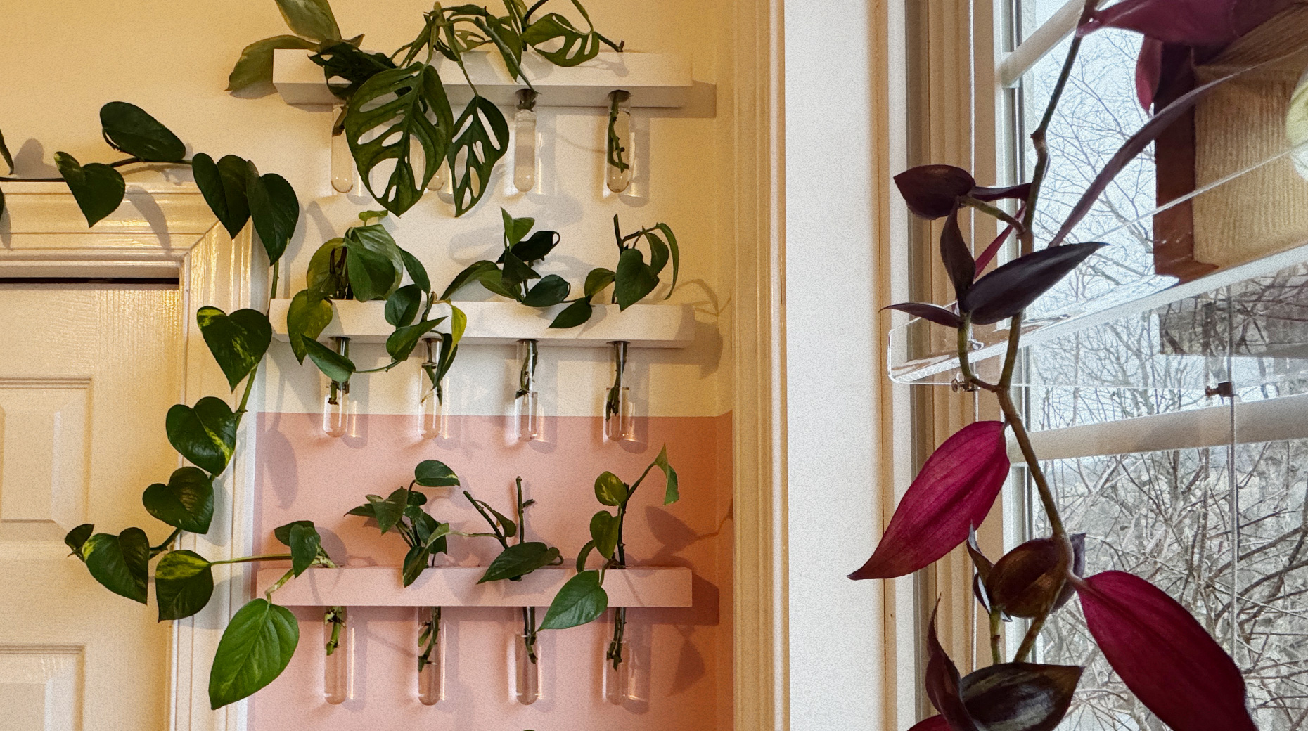 plant propagation wall