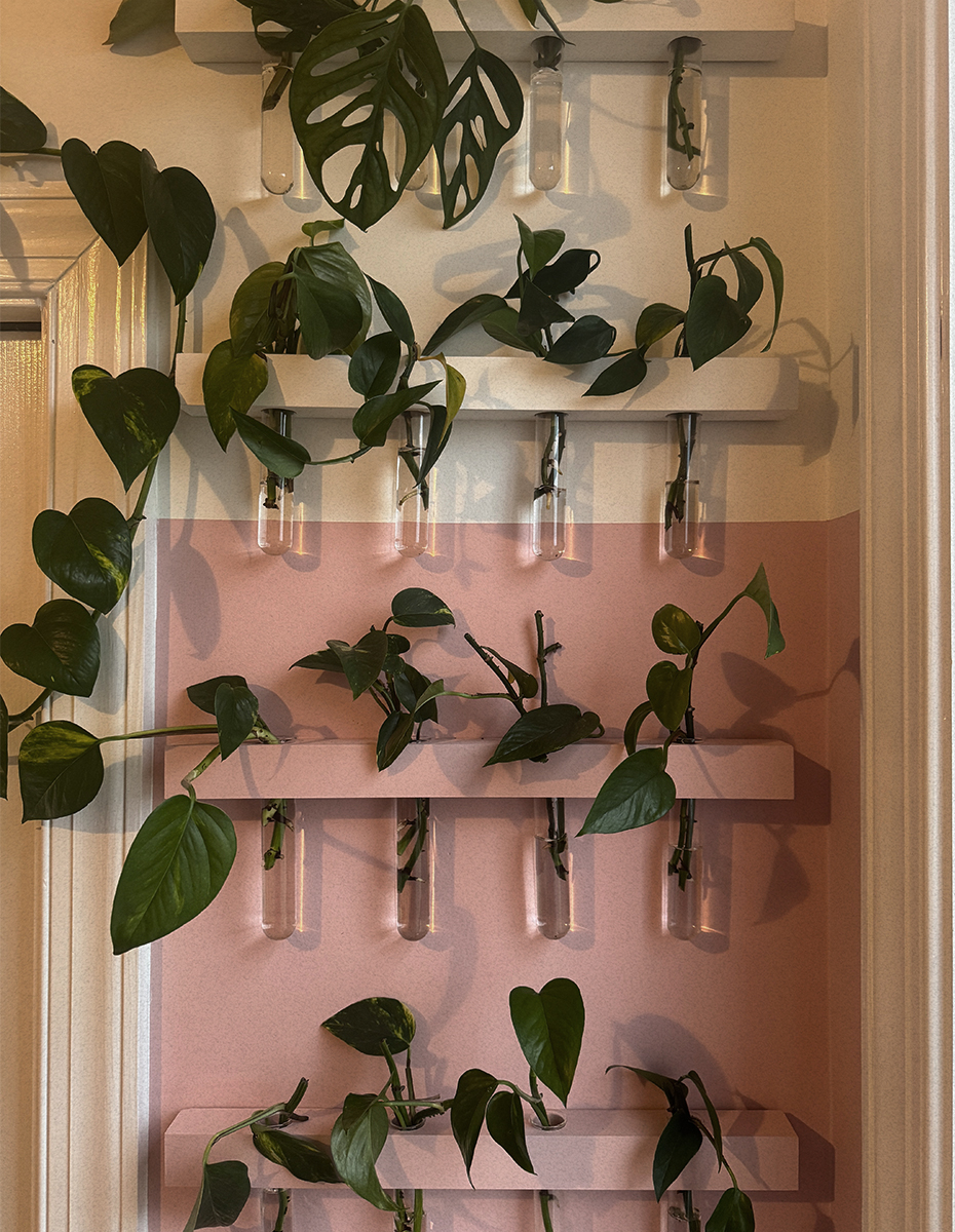 plant propagation wall